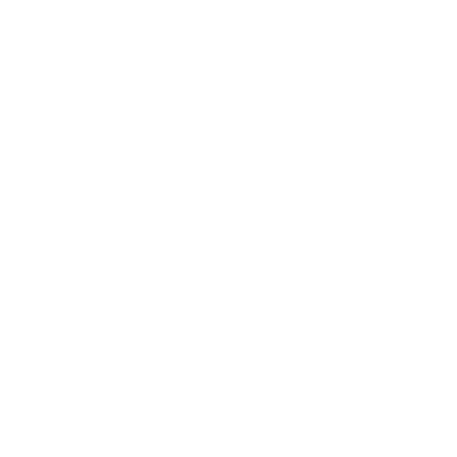 light-logo